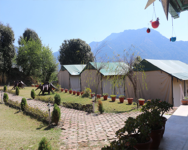 Kumaoni Karvan - Services